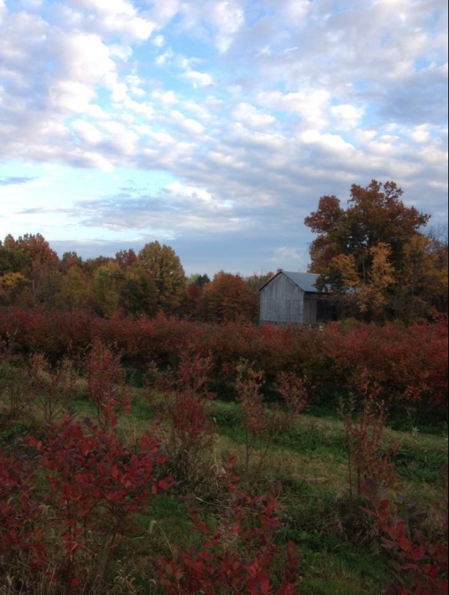 NPS – Cuyahoga Valley Farms