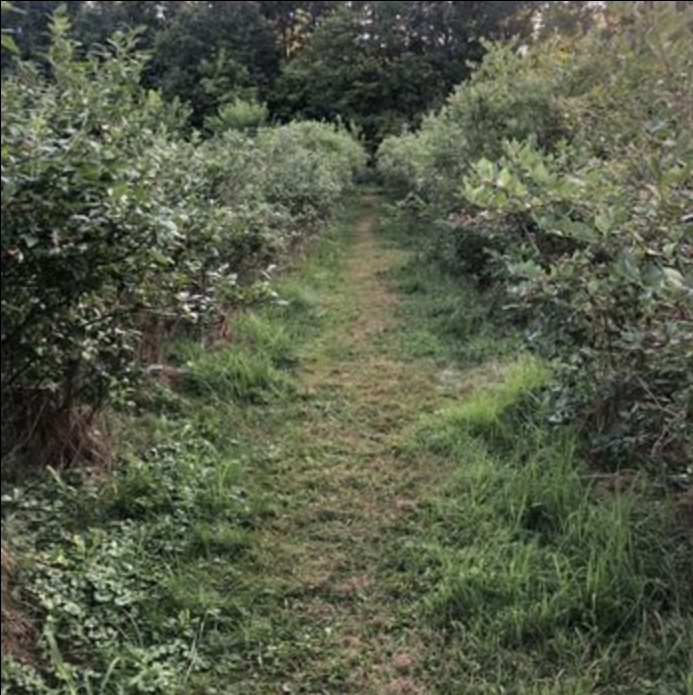 Destination Cleveland feature