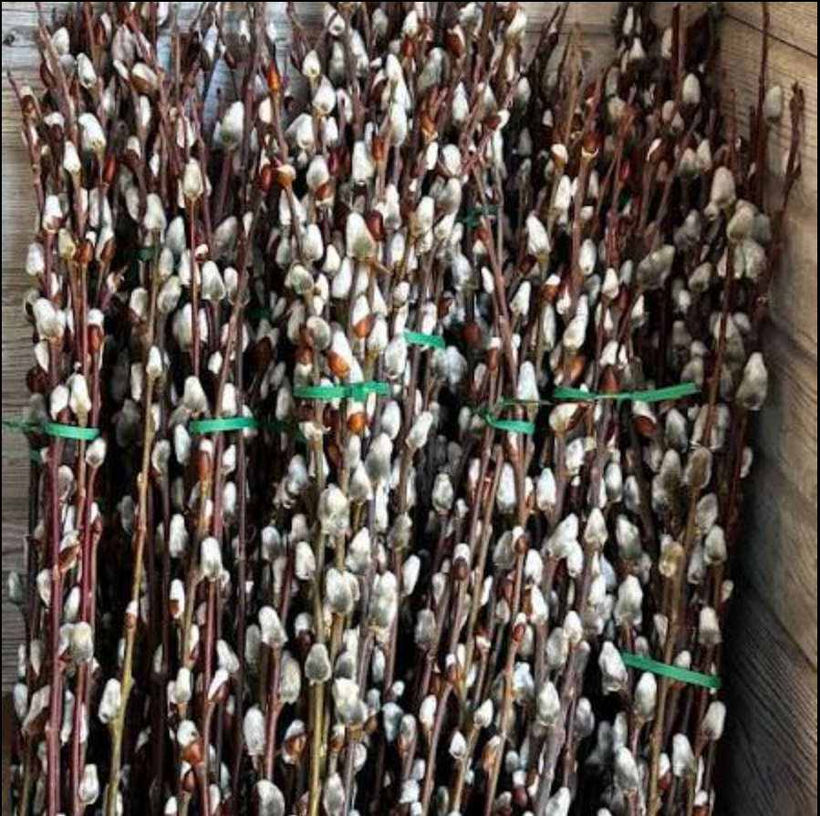 U-Pick Tour at Greenfield Berry Farm