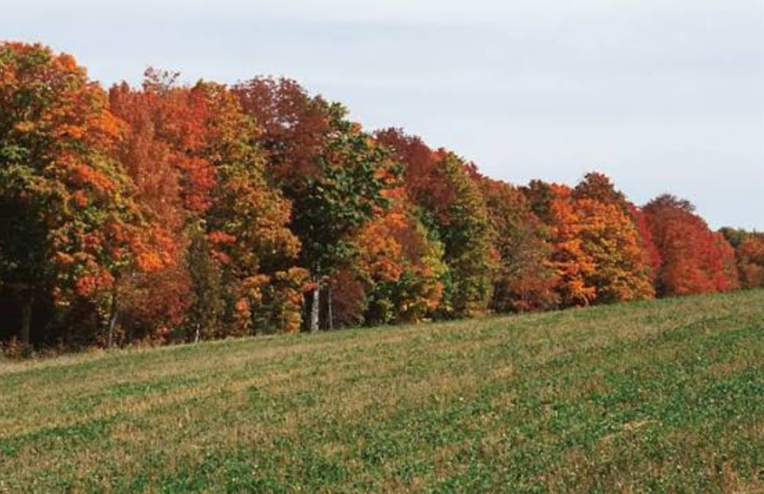 Wanderlog travel guide