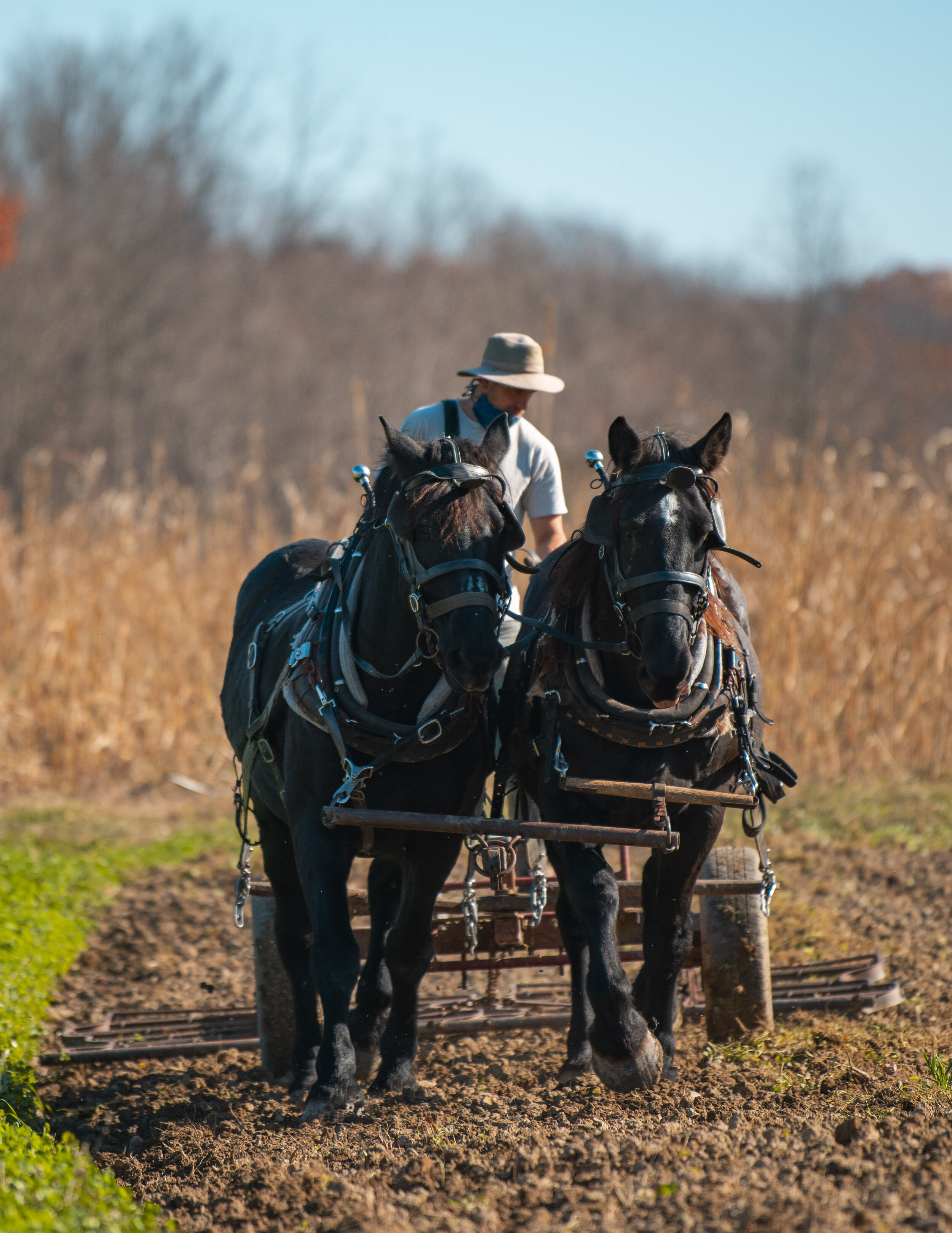 Trapp Family Farm home